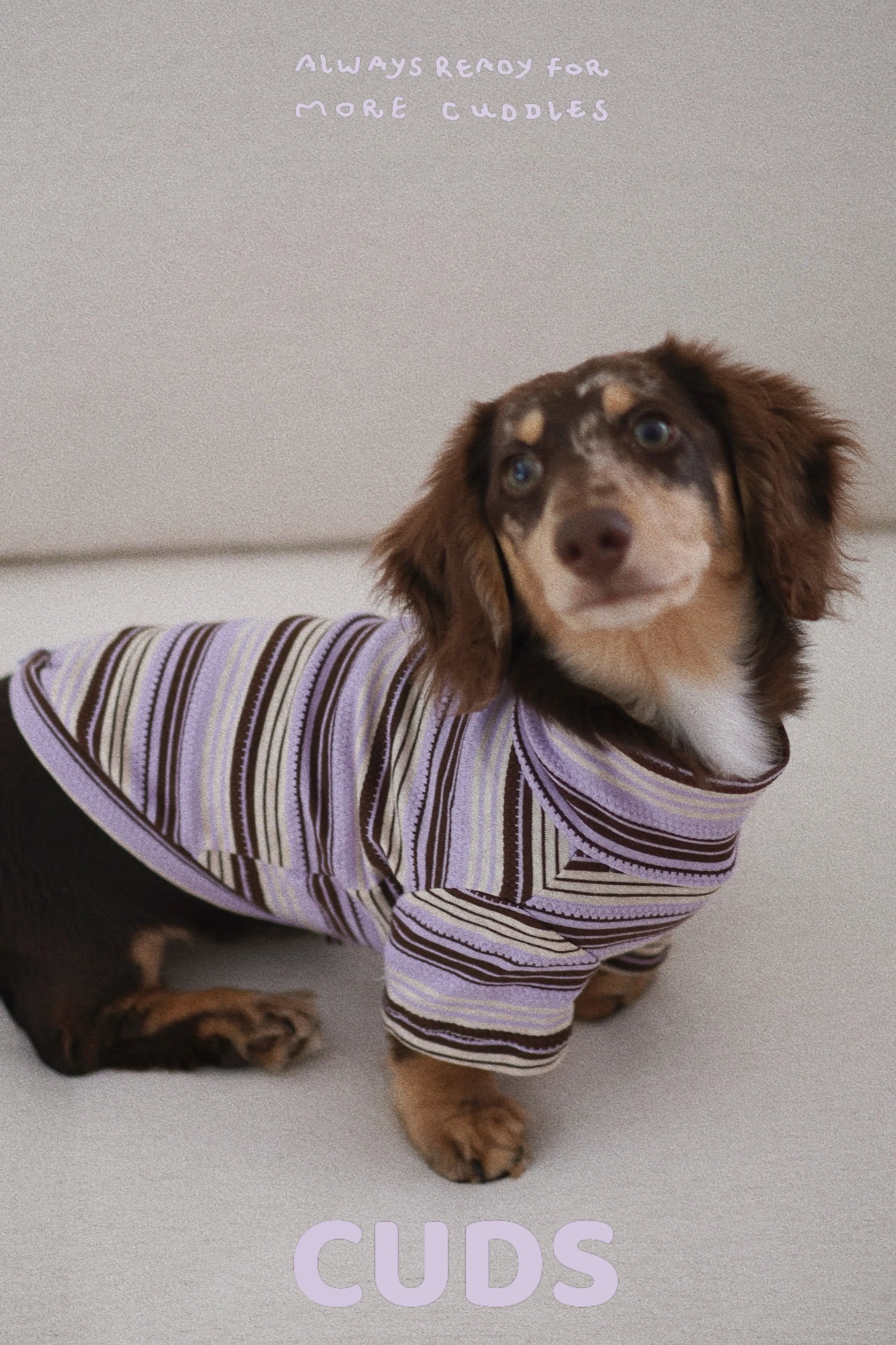 Acai｜CUDS Essentials Dog Shirt CUDS