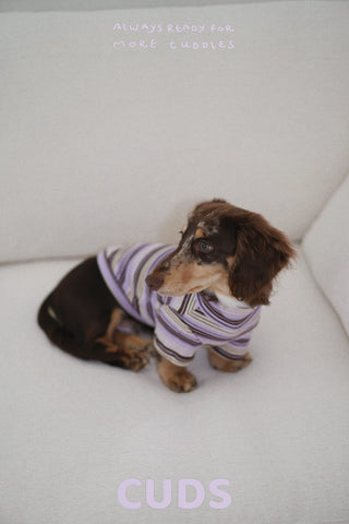 Acai｜CUDS Essentials Dog Shirt CUDS