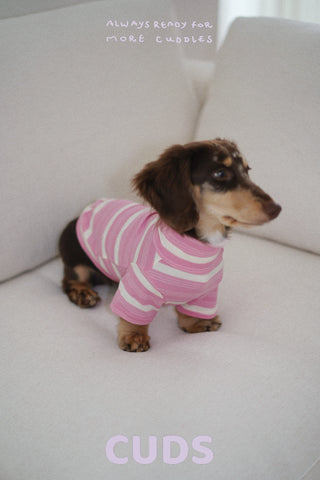 Sakura｜CUDS Essentials Dog Shirt CUDS