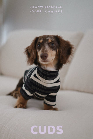 Oreo｜CUDS Essentials Dog Shirt CUDS