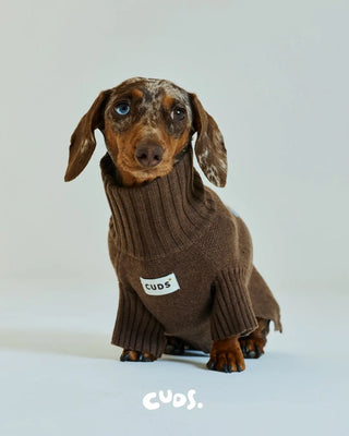 Chocolate |The Honeybee Sweater