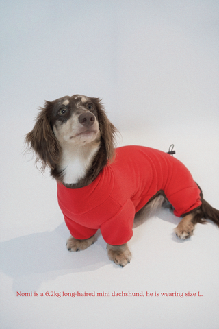 Cherry | CUDS Fleece Suit CUDS