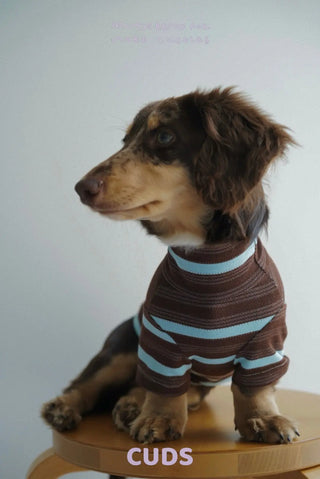 Espresso｜CUDS Essentials Dog Shirt CUDS