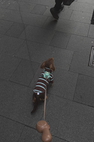 Espresso｜CUDS Essentials Dog Shirt CUDS