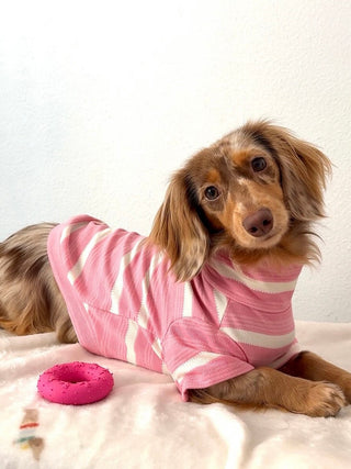 Sakura｜CUDS Essentials Dog Shirt CUDS