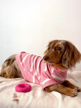 Sakura｜CUDS Essentials Dog Shirt CUDS