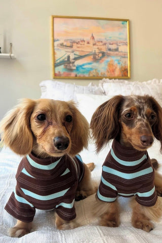 Espresso｜CUDS Essentials Dog Shirt CUDS