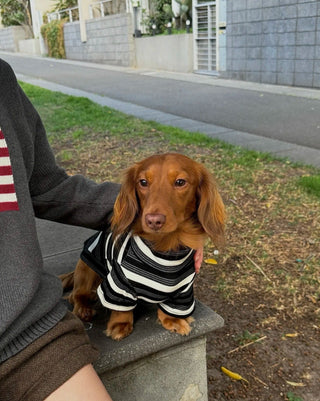 Oreo｜CUDS Essentials Dog Shirt CUDS