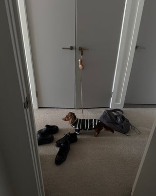 Oreo｜CUDS Essentials Dog Shirt CUDS