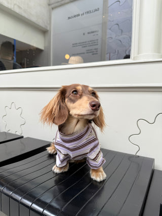 Acai｜CUDS Essentials Dog Shirt CUDS