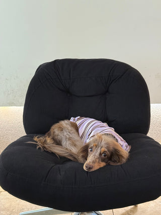 Acai｜CUDS Essentials Dog Shirt CUDS