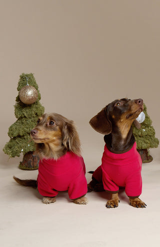 Cherry | CUDS Fleece Suit CUDS