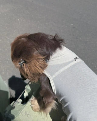 Metal Bow Hair Clip - CUDS