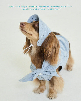 Misty Blue Polka Dot Hat