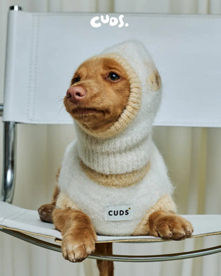 Honeybee | Alpaca Dog Sweater