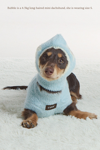 Mint | CUDS Sweater CUDS