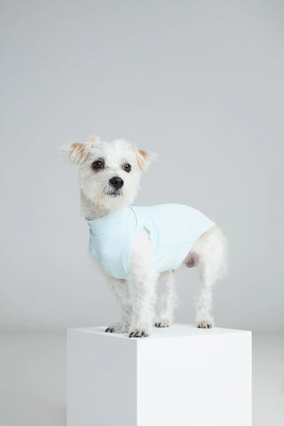 Ice｜ UPF100+ Cooling Vest - CUDS