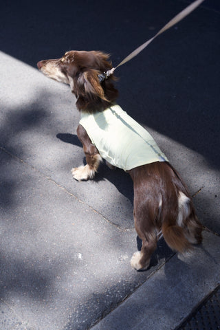 Butter｜ UPF100+ Cooling Vest