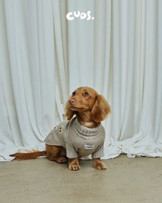 Oat |The Honeybee Sweater