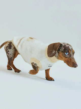 Honeybee | Alpaca Dog Sweater CUDS