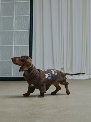 Chocolate |The Honeybee Sweater