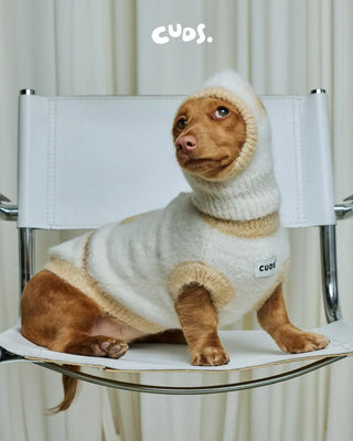 Honeybee Balaclava | Alpaca Dog Hat