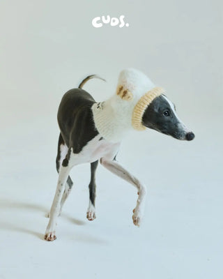 Honeybee Balaclava | Alpaca Dog Hat