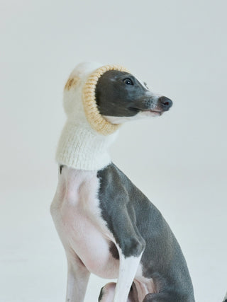 Honeybee Balaclava | Alpaca Dog Hat