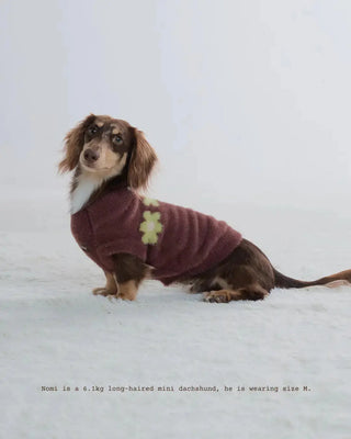 Brownie | CUDS Sweater CUDS